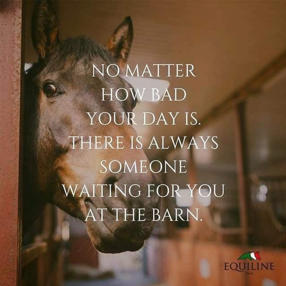 💖 Meet Your Posher! 🦄 - Picture 4 of 4